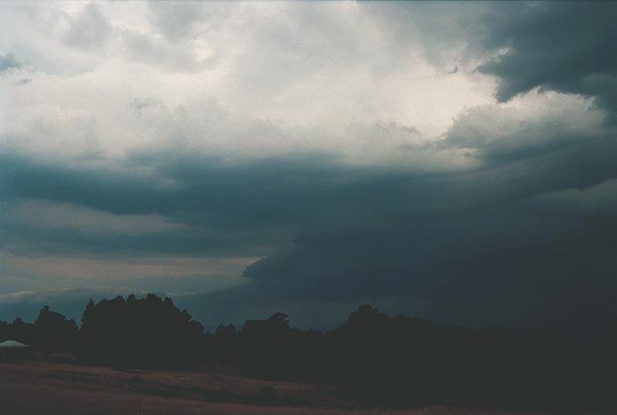 cumulonimbus thunderstorm_base : Hampton, NSW   25 January 2001