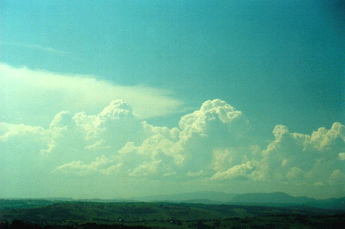 cumulus congestus : McLeans Ridges, NSW   27 January 2001