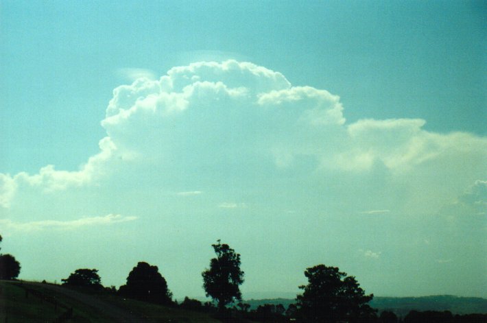 pileus pileus_cap_cloud : near Lismore, NSW   27 January 2001