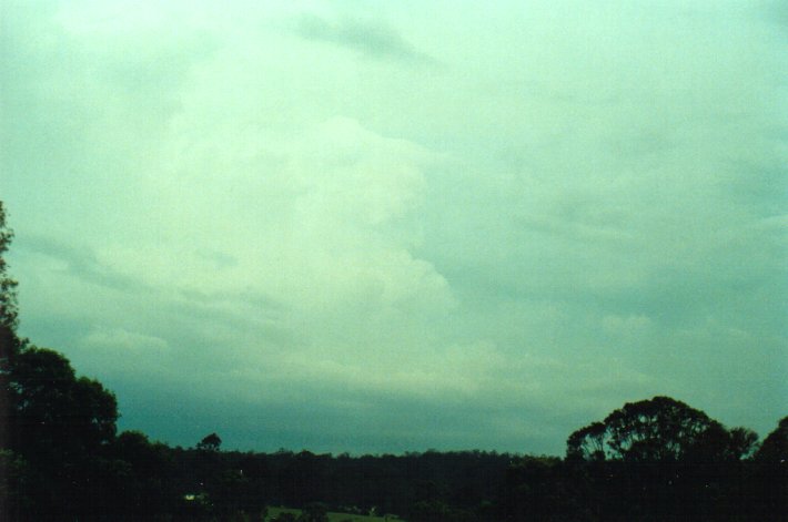 thunderstorm cumulonimbus_calvus : Richmond Range, NSW   28 January 2001