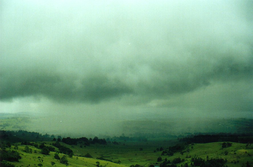 cumulonimbus thunderstorm_base : McLeans Ridges, NSW   29 January 2001