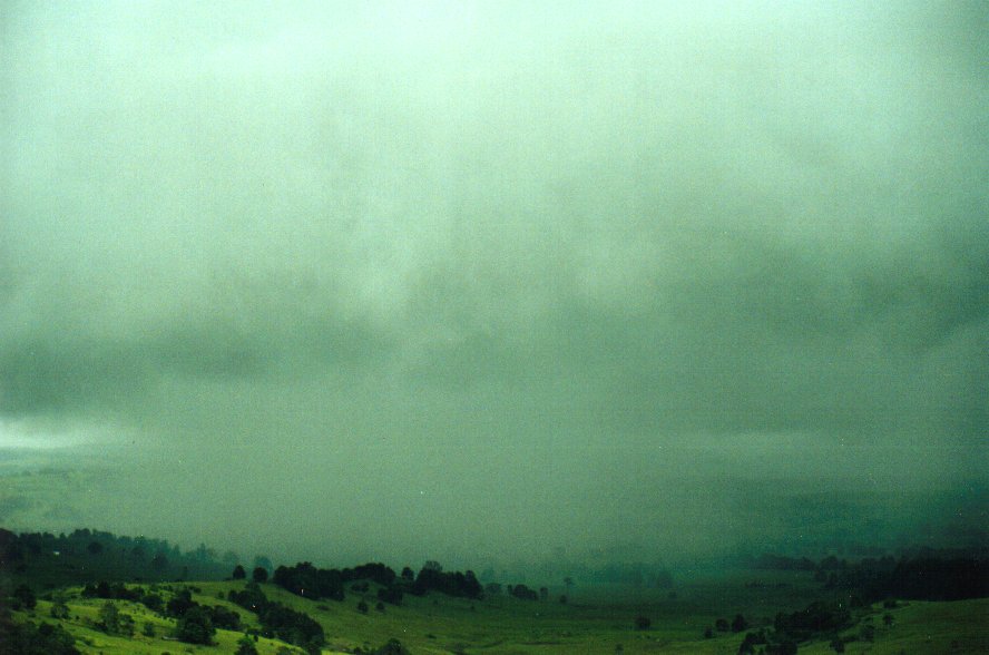 cumulonimbus thunderstorm_base : McLeans Ridges, NSW   29 January 2001