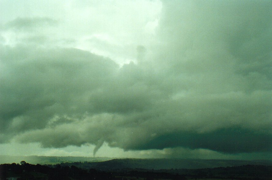 cumulonimbus thunderstorm_base : McLeans Ridges, NSW   29 January 2001