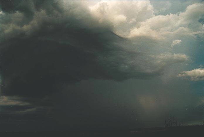 cumulonimbus thunderstorm_base : Penrith, NSW   4 February 2001