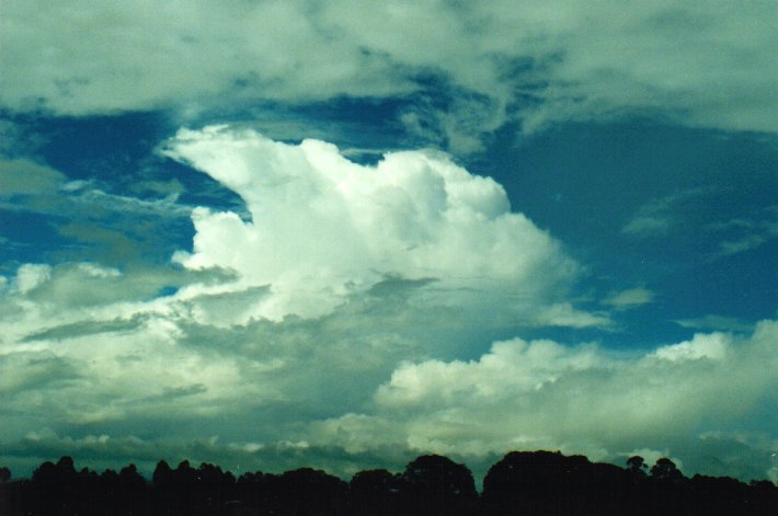 thunderstorm cumulonimbus_calvus : McLeans Ridges, NSW   20 February 2001
