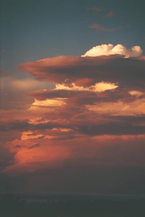 altocumulus altocumulus_cloud : Schofields, NSW   28 February 2001