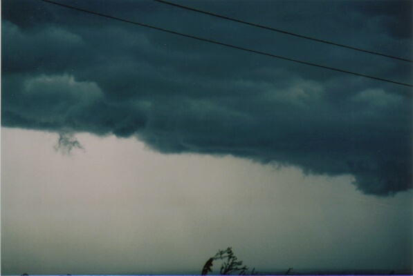 contributions received : Western Sydney, NSW<BR>Photo by Mario Orazem   28 February 2001