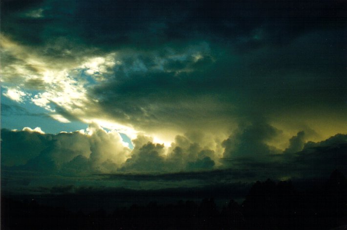 thunderstorm cumulonimbus_calvus : McLeans Ridges, NSW   9 March 2001