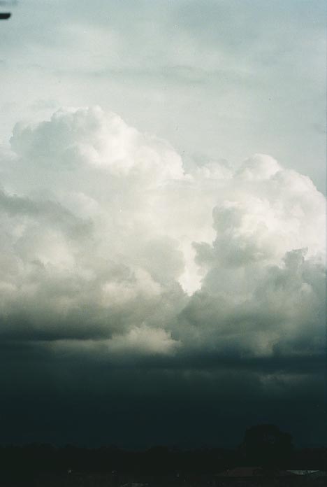 thunderstorm cumulonimbus_calvus : Schofields, NSW   11 March 2001