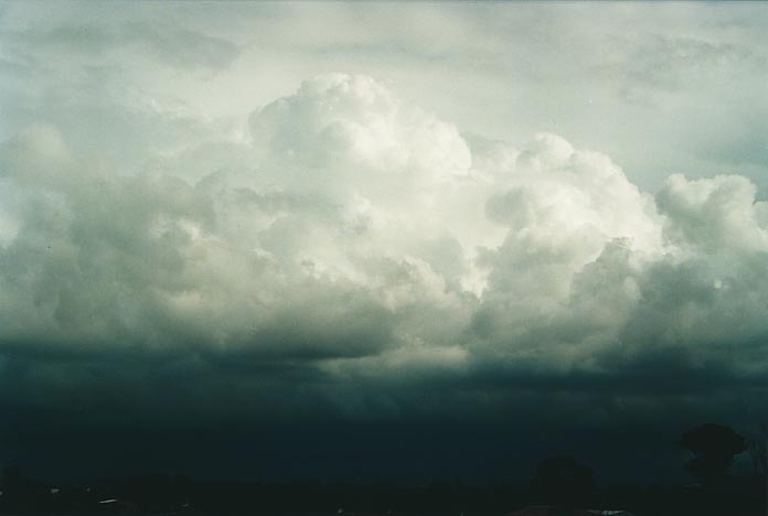 thunderstorm cumulonimbus_calvus : Schofields, NSW   11 March 2001