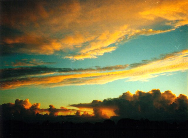 cumulus congestus : McLeans Ridges, NSW   21 March 2001