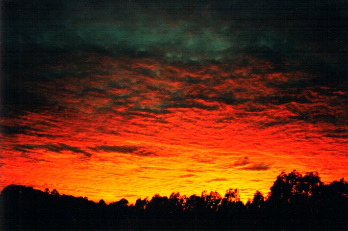 altocumulus altocumulus_cloud : McLeans Ridges, NSW   24 March 2001