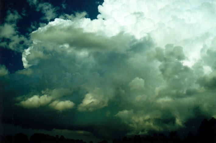 thunderstorm cumulonimbus_calvus : McLeans Ridges, NSW   26 March 2001