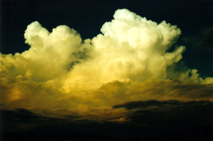 thunderstorm cumulonimbus_calvus : McLeans Ridges, NSW   26 March 2001