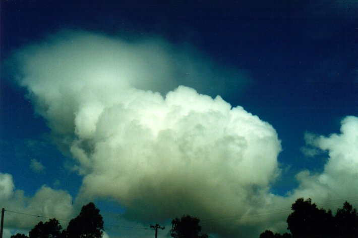 pileus pileus_cap_cloud : McLeans Ridges, NSW   4 April 2001