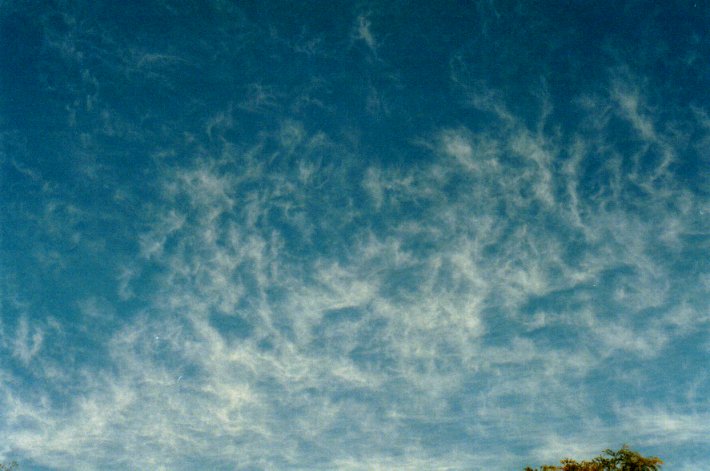 cirrus cirrus_cloud : McLeans Ridges, NSW   20 April 2001