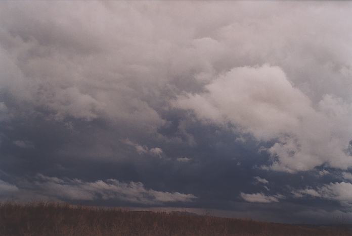 contributions received : near Willow Tree, NSW<BR>Photo by Geoff Thurtell   22 April 2001