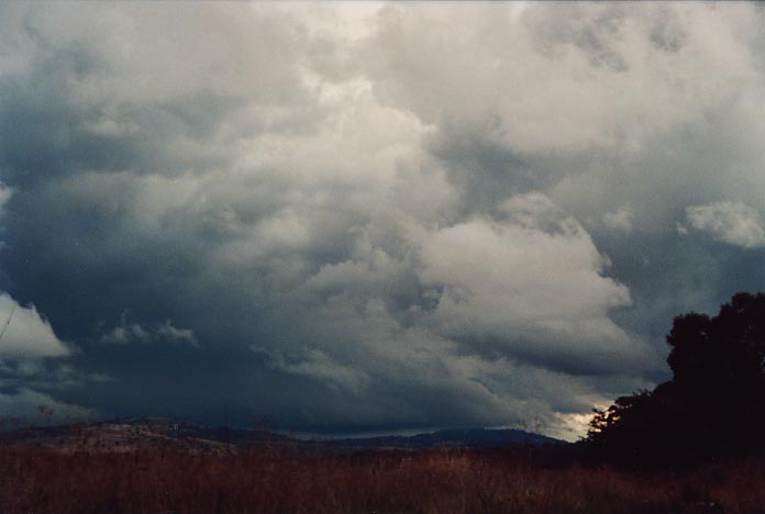 cumulonimbus thunderstorm_base : near Murrurrundi, NSW   22 April 2001