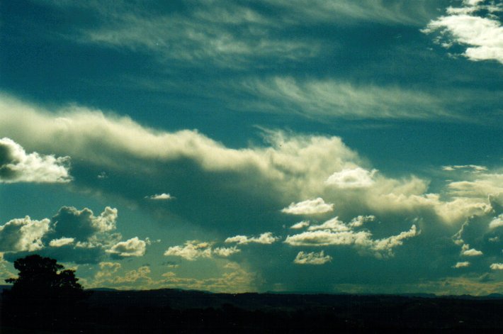 anvil thunderstorm_anvils : McLeans Ridges, NSW   6 May 2001