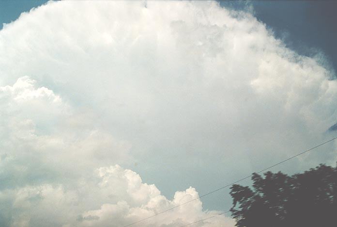 anvil thunderstorm_anvils : N of Konowa, Oklahoma, USA   20 May 2001