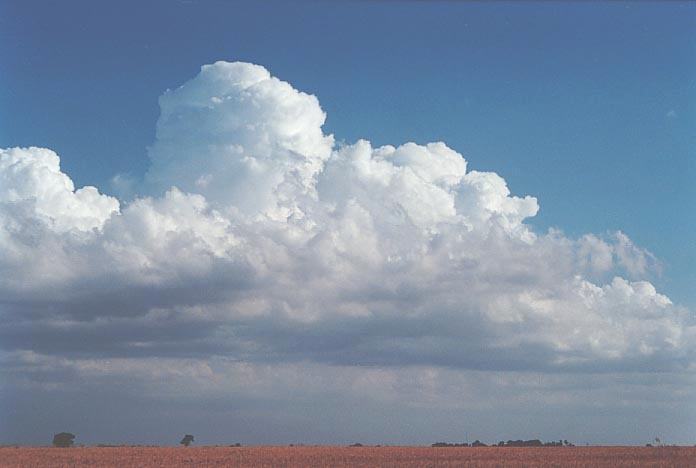 thunderstorm cumulonimbus_calvus : Harper, Kansas, USA   4 June 2001