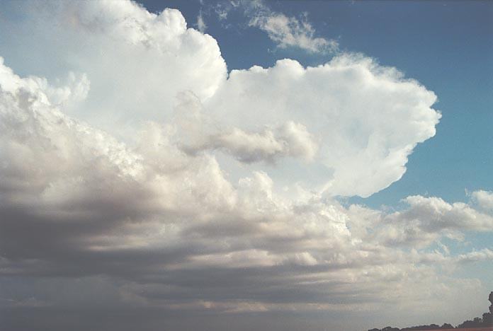 thunderstorm cumulonimbus_incus : Harper, Kansas, USA   4 June 2001