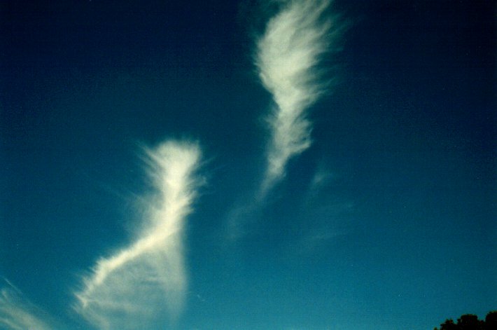 cirrus cirrus_cloud : McLeans Ridges, NSW   28 July 2001