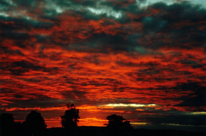 sunset sunset_pictures : McLeans Ridges, NSW   29 July 2001