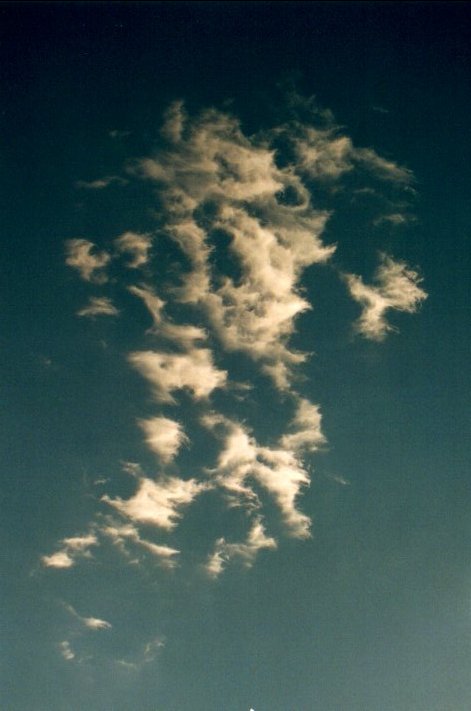 cirrus cirrus_cloud : McLeans Ridges, NSW   5 August 2001