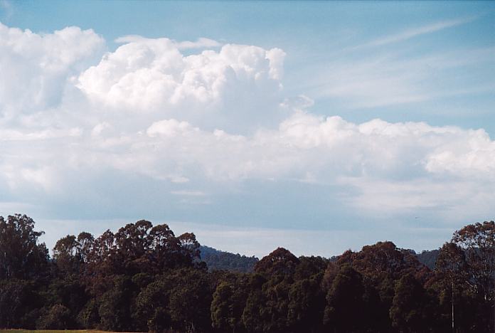 thunderstorm cumulonimbus_calvus : Booral, NSW   26 August 2001