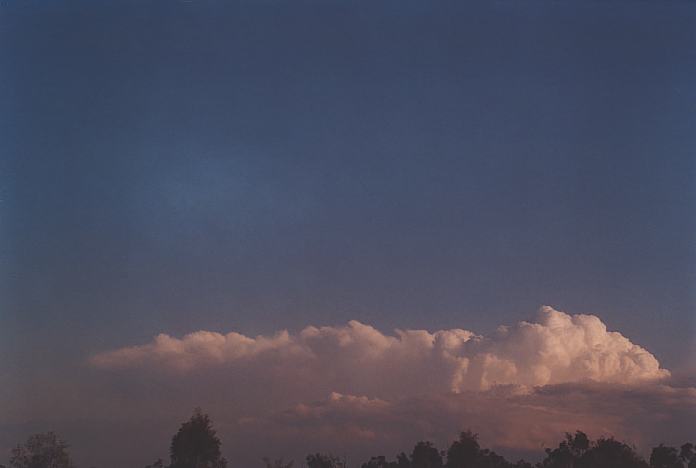 contributions received : near Jerrys Plains, NSW<BR>Photo by Geoff Thurtell   1 September 2001