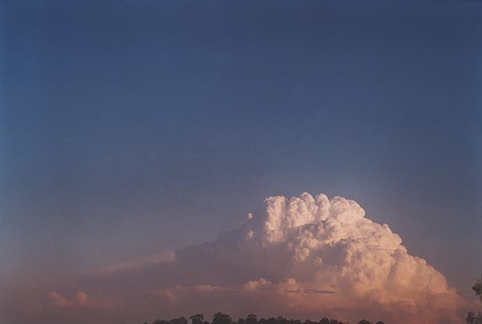 contributions received : near Jerrys Plains, NSW<BR>Photo by Geoff Thurtell   1 September 2001