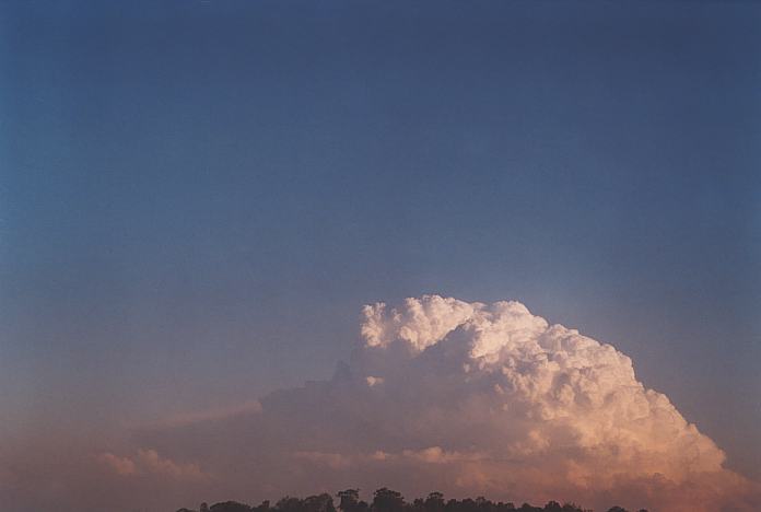 contributions received : near Jerrys Plains, NSW<BR>Photo by Geoff Thurtell   1 September 2001