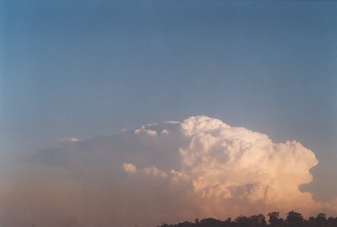 contributions received : near Jerrys Plains, NSW<BR>Photo by Geoff Thurtell   1 September 2001