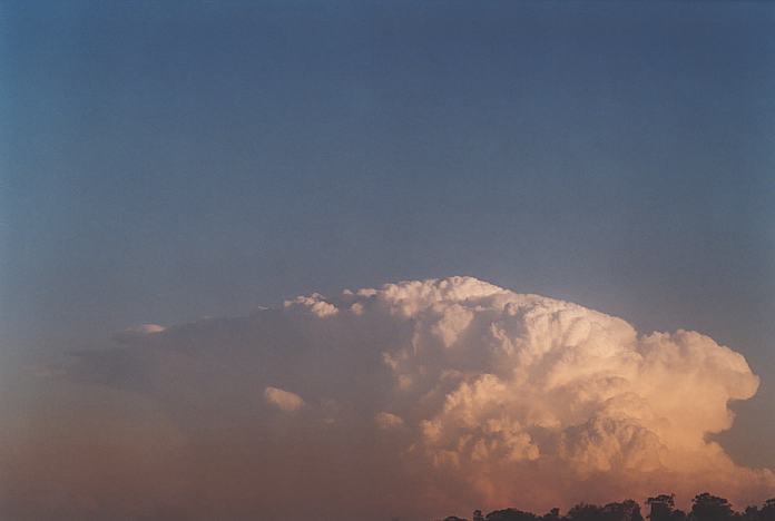 contributions received : near Jerrys Plains, NSW<BR>Photo by Geoff Thurtell   1 September 2001