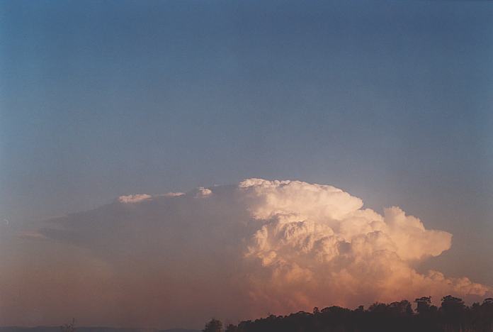 contributions received : near Jerrys Plains, NSW<BR>Photo by Geoff Thurtell   1 September 2001