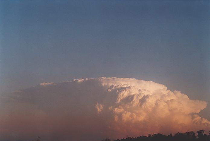 contributions received : near Jerrys Plains, NSW<BR>Photo by Geoff Thurtell   1 September 2001