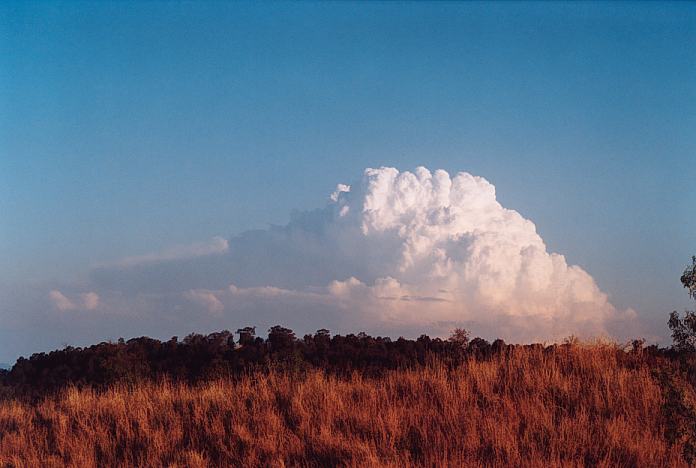 thunderstorm cumulonimbus_incus : Jerrys Plains, NSW   1 September 2001