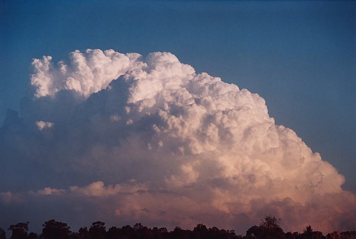 thunderstorm cumulonimbus_incus : Jerrys Plains, NSW   1 September 2001