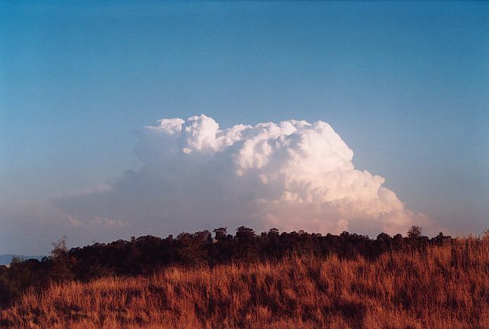 cumulonimbus supercell_thunderstorm : Jerrys Plains, NSW   1 September 2001