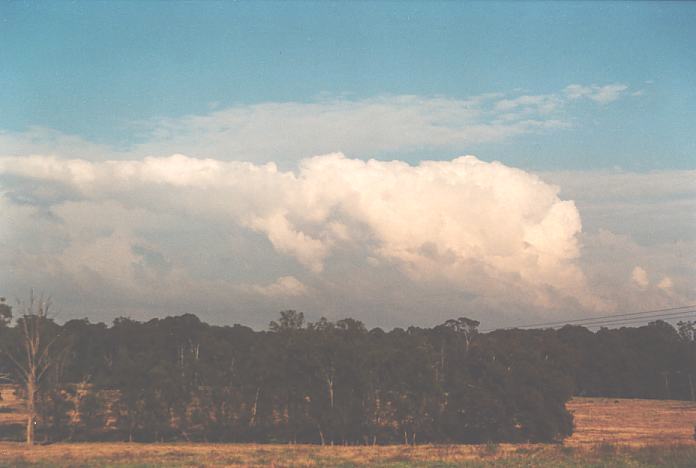 cumulus mediocris : Schofields, NSW   12 September 2001