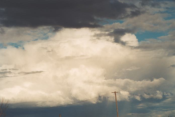 cumulus congestus : Schofields, NSW   12 September 2001