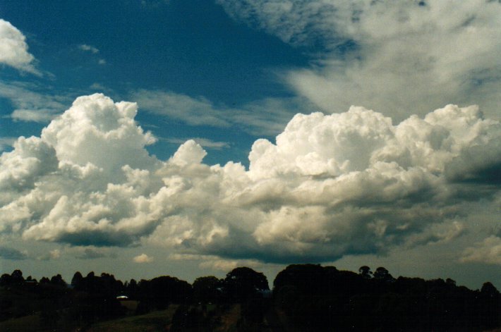 cumulus mediocris : McLeans Ridges, NSW   14 September 2001