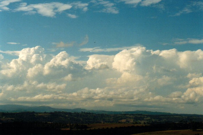 thunderstorm cumulonimbus_calvus : McLeans Ridges, NSW   14 September 2001