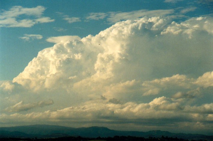 pileus pileus_cap_cloud : McLeans Ridges, NSW   14 September 2001