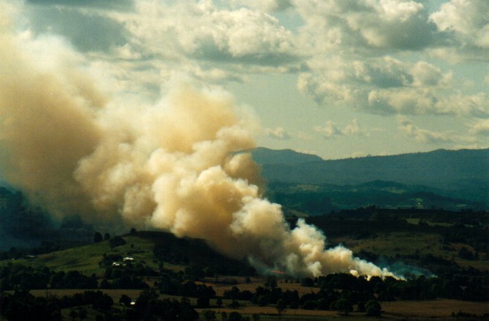 favourites michael_bath : McLeans Ridges, NSW   18 September 2001