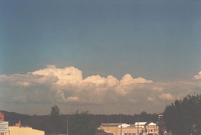 cumulus congestus : Evans High Blacktown, NSW   20 September 2001