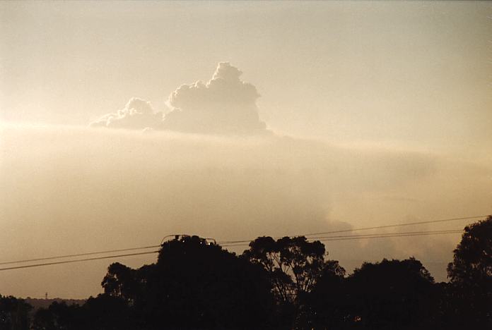 cumulus pyrocumulus : Riverstone, NSW   22 September 2001