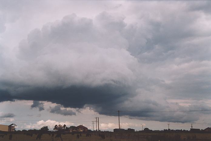 cumulonimbus thunderstorm_base : Morpeth, NSW   3 October 2001