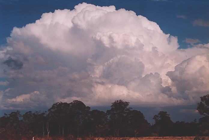 cumulonimbus supercell_thunderstorm : Nabiac, NSW   3 October 2001